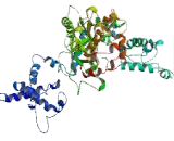 Nucleoporin 160kDa (NUP160)