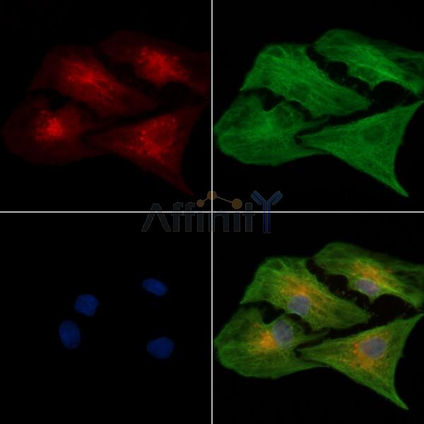 Валидация Affinity DF3755 - 14837