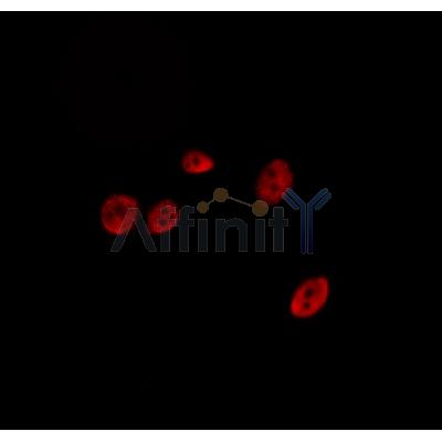 Валидация Affinity DF8373 - 20240