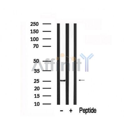 Валидация Affinity AF7678 - 4361