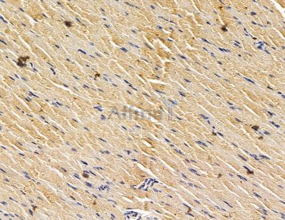 Валидация Affinity DF15022 - 11233