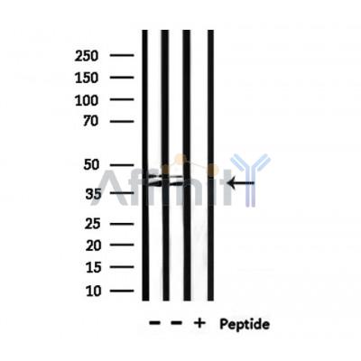 Валидация Affinity DF10128 - 5642