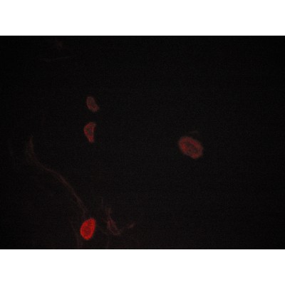 Валидация Affinity AF6318 - 3592