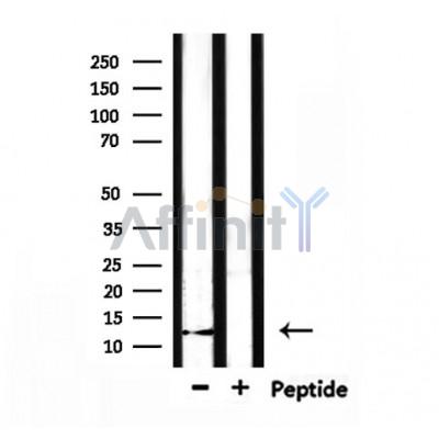 Валидация Affinity DF10119 - 5628