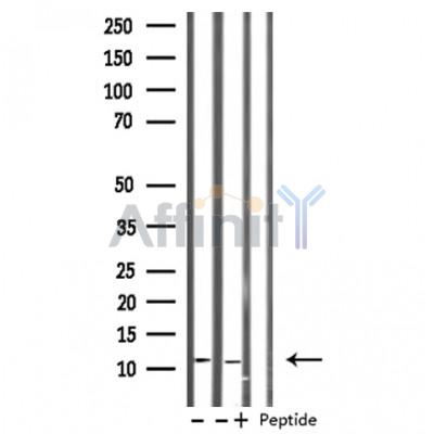Валидация Affinity DF3083 - 13827