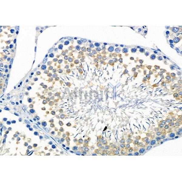 Валидация Affinity DF12836 - 7559