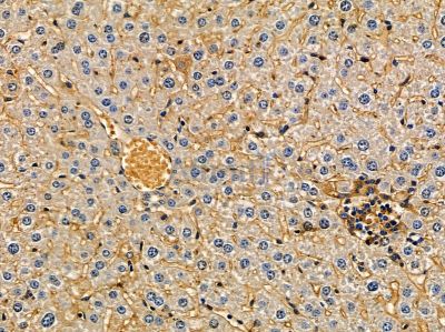 Валидация Affinity DF14419 - 10362