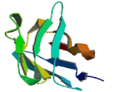 Signaling Lymphocytic Activation Molecule Family, Member 8 (SLAMF8) Signaling Lymphocytic Activation Molecule Family, Member 8 (SLAMF8)