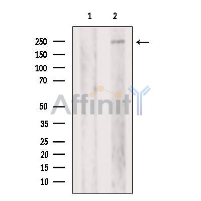 Валидация Affinity DF8707 - 20700
