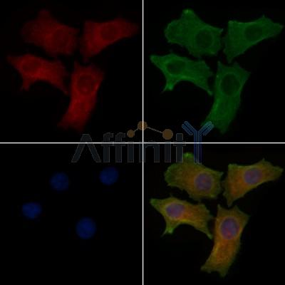 Валидация Affinity AF7671 - 4353