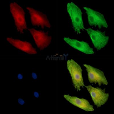 Валидация Affinity DF16026 - 12574