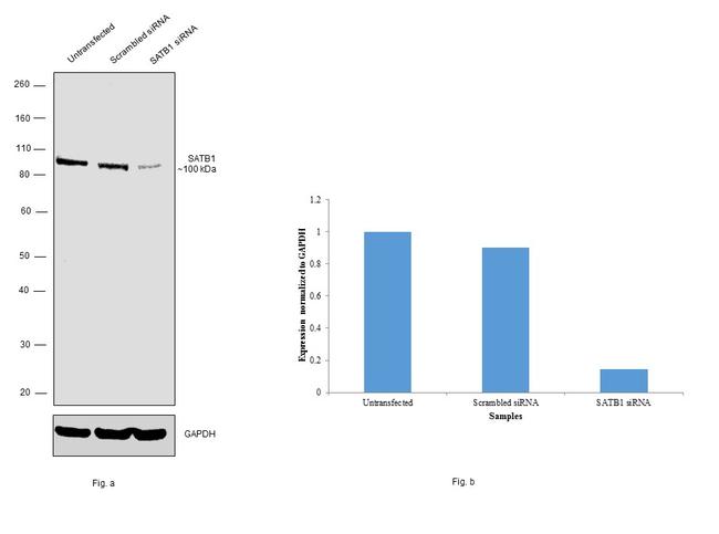 Валидация AssayVector ARM1282(741)