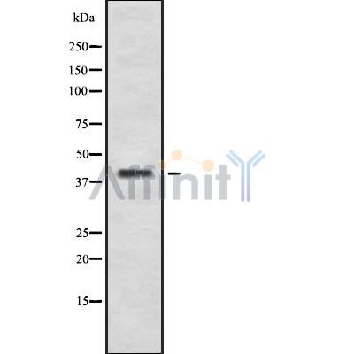 Валидация Affinity DF8879 - 20983