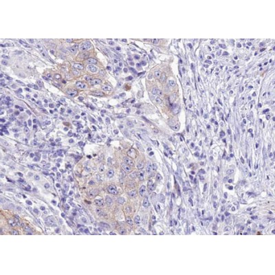 Валидация Affinity AF3483 - 2010