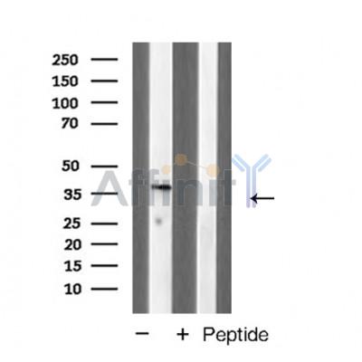 Валидация Affinity AF5286 - 2820