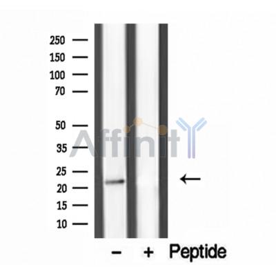 Валидация Affinity DF12196 - 6438