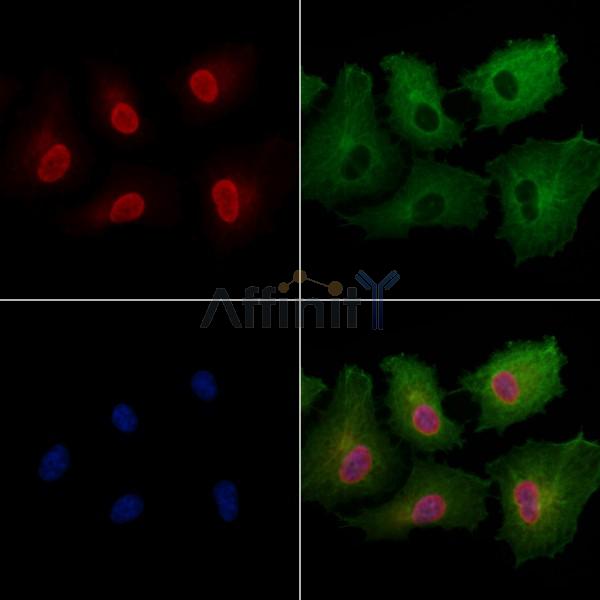 Валидация Affinity DF2439 - 13054