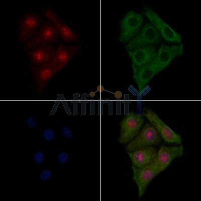 Валидация Affinity AF5388 - 3025