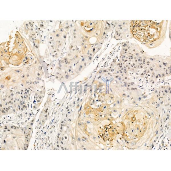 Валидация Affinity AF5456 - 3109