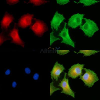 Валидация Affinity DF9921 - 22904