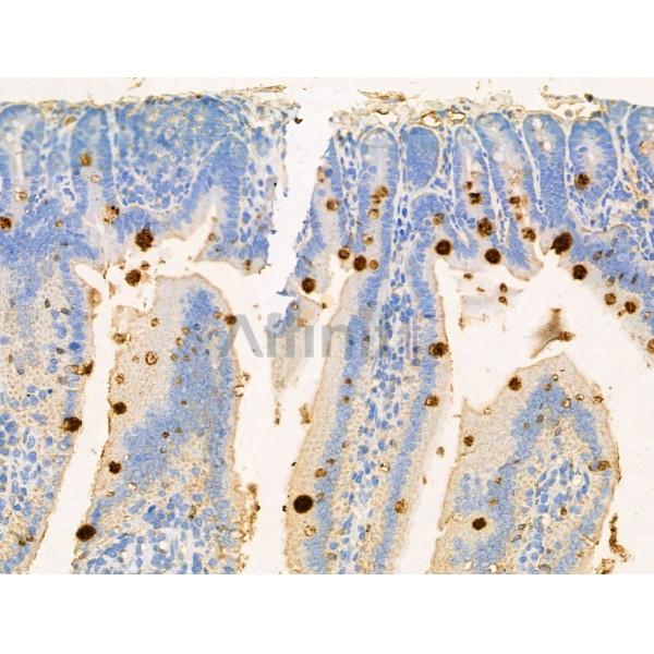 Валидация Affinity DF13361 - 8585