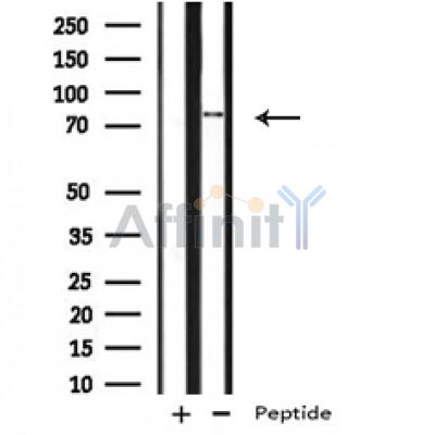 Валидация Affinity AF4807 - 2426