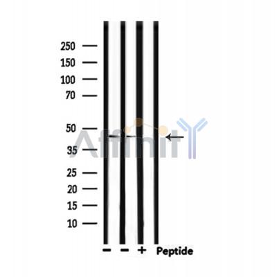 Валидация Affinity AF5315 - 2873