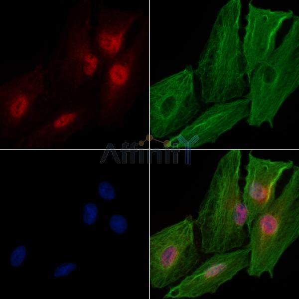 Валидация Affinity DF3631 - 14606