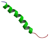 G Protein Coupled Receptor 21 (GPR21) G Protein Coupled Receptor 21 (GPR21)