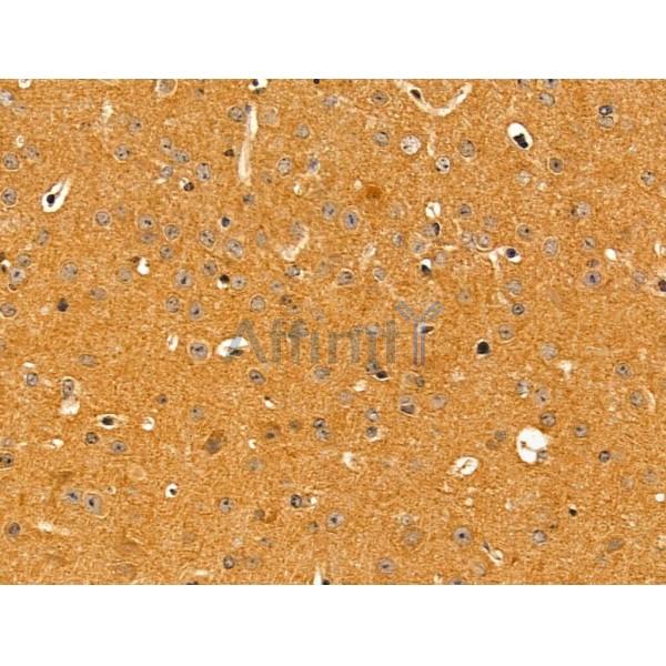 Валидация Affinity AF5401 - 3045