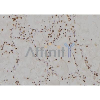 Валидация Affinity DF4587 - 16193