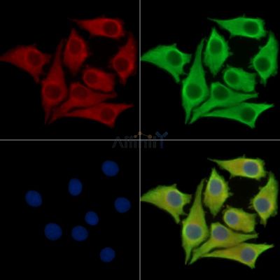 Валидация Affinity DF16080 - 12643