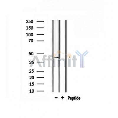 Валидация Affinity DF6103 - 17318