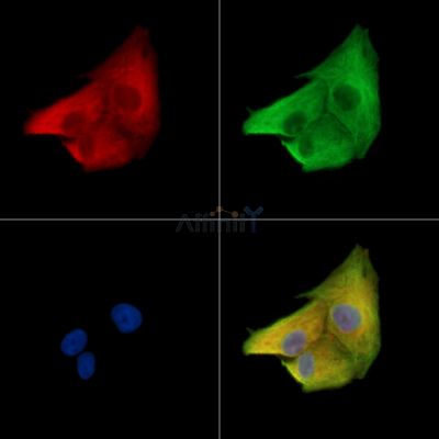 Валидация Affinity DF14936 - 11112