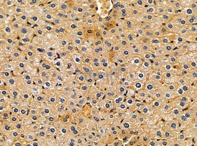 Валидация Affinity DF13852 - 9560