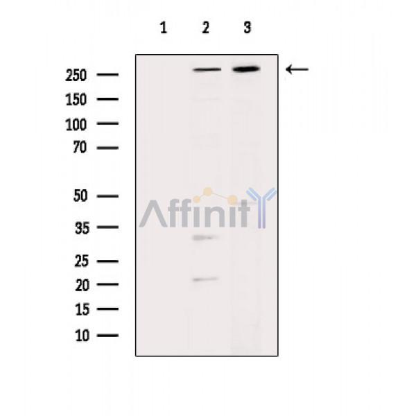 Валидация Affinity DF8341 - 20194