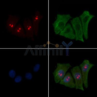 Валидация Affinity DF8391 - 20262