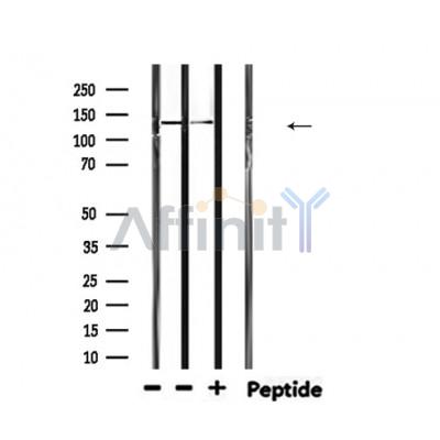 Валидация Affinity DF6615 - 18074
