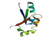 G Protein Coupled Receptor 18 (GPR18) G Protein Coupled Receptor 18 (GPR18)