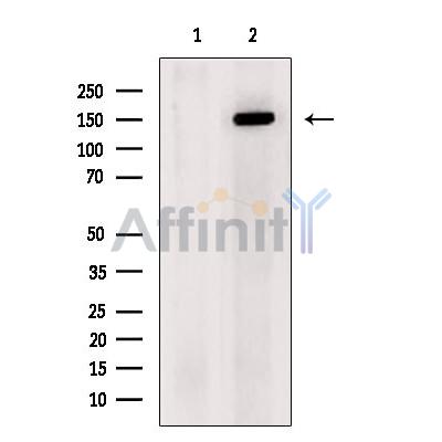 Валидация Affinity DF7770 - 19591