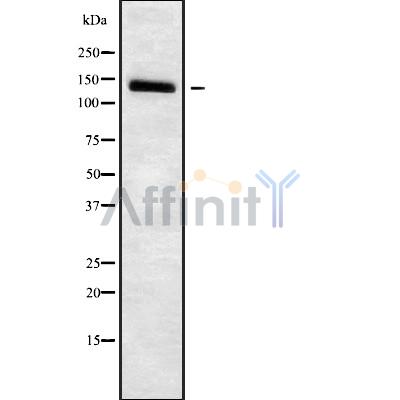 Валидация Affinity DF9927 - 22915