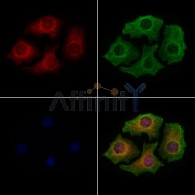 Валидация Affinity DF9143 - 21484