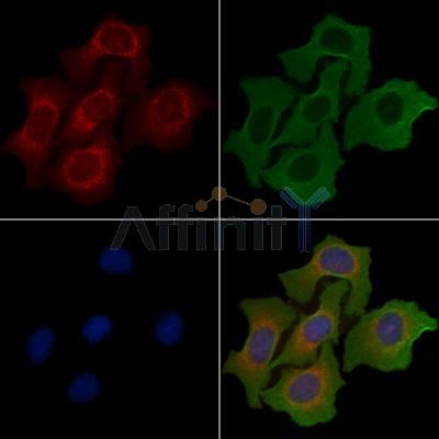 Валидация Affinity DF3777 - 14876