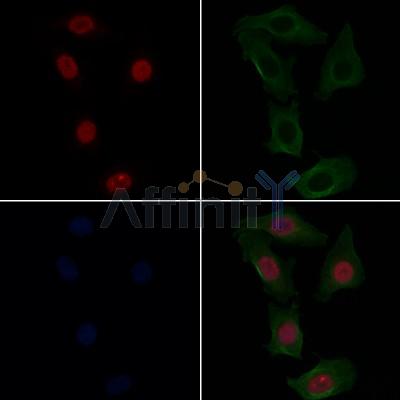 Валидация Affinity AF4760 - 2379