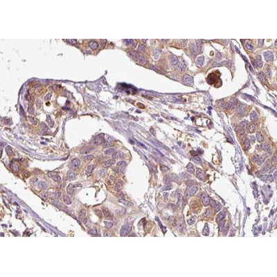 Валидация Affinity AF3476 - 1999