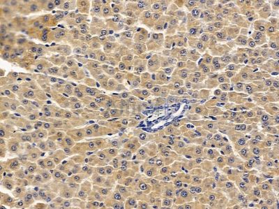 Валидация Affinity DF12807 - 7507