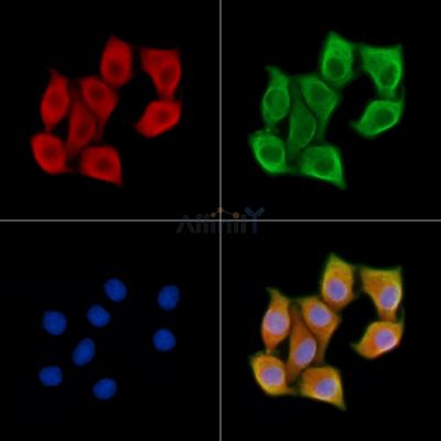 Валидация Affinity DF13212 - 8224