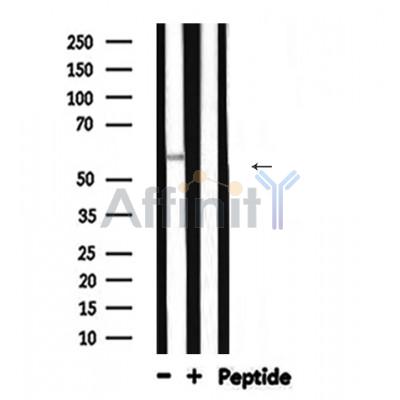 Валидация Affinity DF6225 - 17506