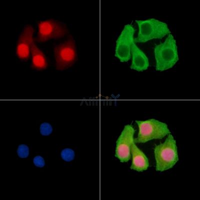 Валидация Affinity DF15383 - 11700