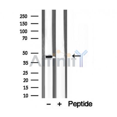 Валидация Affinity DF12185 - 6414